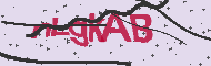 Captcha認証コード