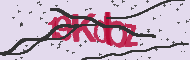 Captcha認証コード